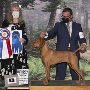 Meet your Posher, Joshua